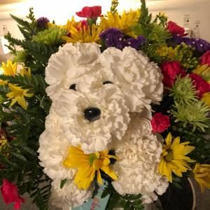 Meet your Posher, Marilyn